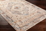 Surya Arya Rya-2305 Medium Gray, Blue Rug.