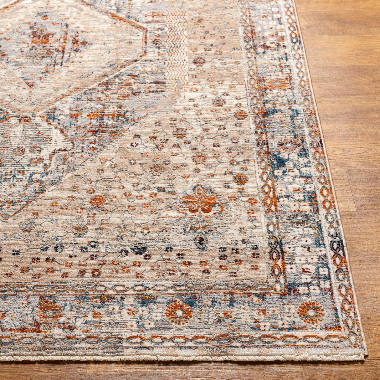 Surya Arya Rya-2305 Medium Gray, Blue Rug.