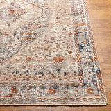 Surya Arya Rya-2305 Medium Gray, Blue Rug.