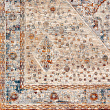 Surya Arya Rya-2305 Medium Gray, Blue Rug.