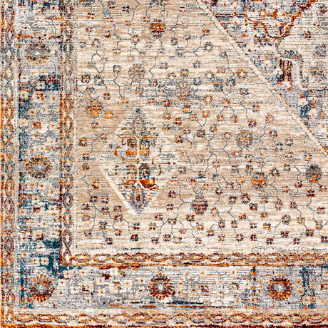 Surya Arya Rya-2305 Medium Gray, Blue Rug.