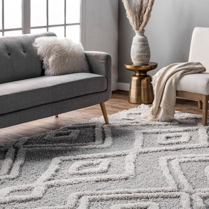 Nuloom Vivianne Moroccan Nvi2415A Light Gray Area Rug