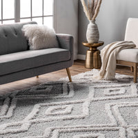 Nuloom Vivianne Moroccan Nvi2415A Light Gray Area Rug