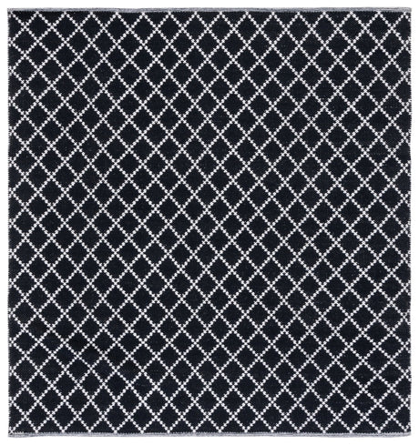 Safavieh Montauk Mtk706Z Black/Ivory Rug.