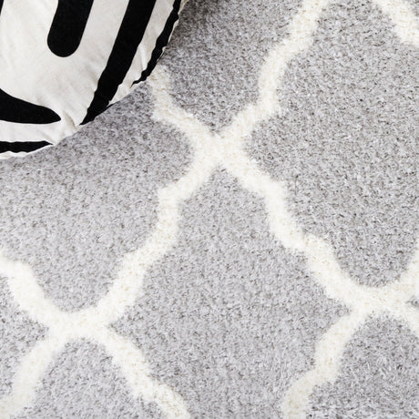 Safavieh Tahoe Shag Tho675H Light Grey/White Rug.