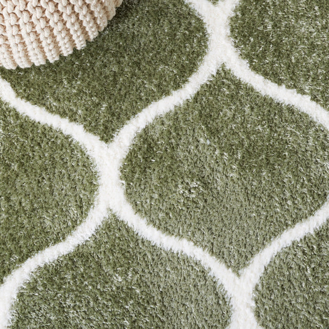 Safavieh Tahoe Shag Tho677W Sage/White Rug.