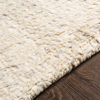 Surya Sahara Sah-2306 Cream, Taupe, Medium Gray, Dark Brown Area Rug