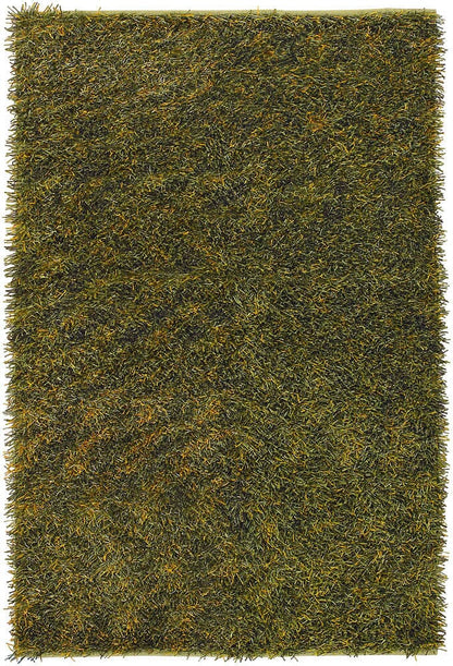 Chandra Sani San5506 Green / Yellow Shag Area Rug