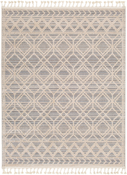 Surya Sofia Sfa-2301 Grey Area Rug