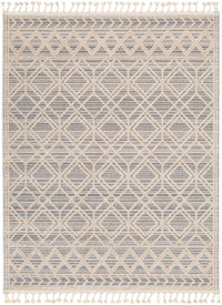 Surya Sofia Sfa-2301 Grey Area Rug