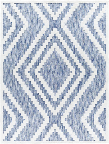 Surya San Diego Sfg-2300 Blue Rug.