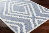 Surya San Diego Sfg-2300 Blue Rug.