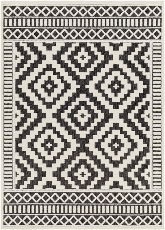 Surya San Diego Sfg-2301 Black Area Rug