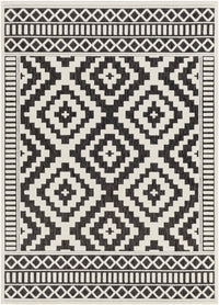 Surya San Diego Sfg-2301 Black Area Rug