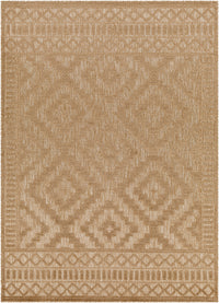 Surya San Diego Sfg-2302 Brown Area Rug