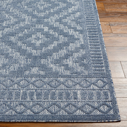 Surya San Diego Sfg-2303 Blue Area Rug