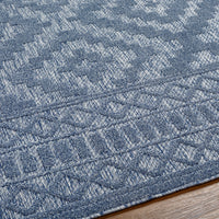 Surya San Diego Sfg-2303 Blue Area Rug