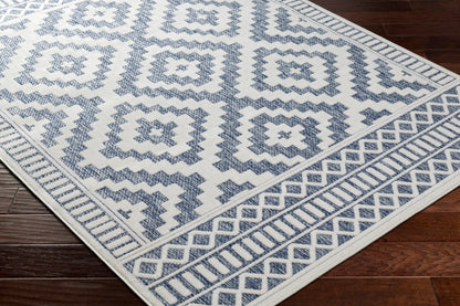 Surya San Diego Sfg-2304 Light Blue Area Rug