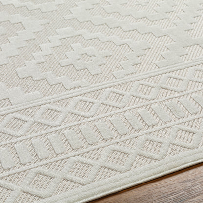 Surya San Diego Sfg-2305 Beige Area Rug