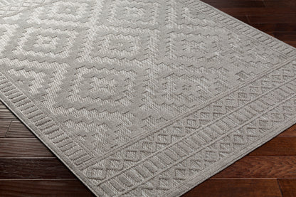 Surya San Diego Sfg-2307 Grey Area Rug