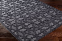 Surya San Diego Sfg-2308 Black Area Rug