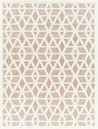 Surya San Diego Sfg-2309 Beige Area Rug