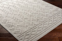 Surya San Diego Sfg-2310 Grey Area Rug