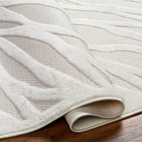 Surya San Diego Sfg-2312 Beige Area Rug