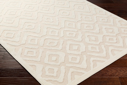 Surya San Diego Sfg-2314 Beige Area Rug