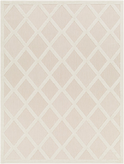 Surya San Diego Sfg-2315 Beige Area Rug