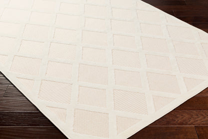 Surya San Diego Sfg-2315 Beige Area Rug