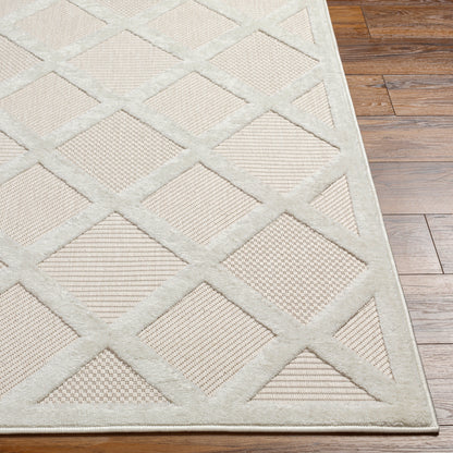 Surya San Diego Sfg-2315 Beige Area Rug