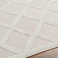 Surya San Diego Sfg-2315 Beige Area Rug