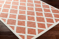 Surya San Diego Sfg-2316 Orange Area Rug