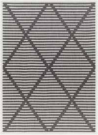 Surya San Diego Sfg-2317 Black Area Rug