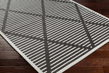 Surya San Diego Sfg-2317 Black Rug.