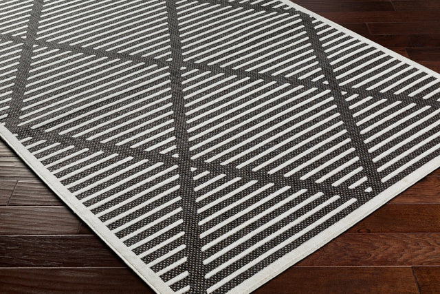 Surya San Diego Sfg-2317 Black Rug.