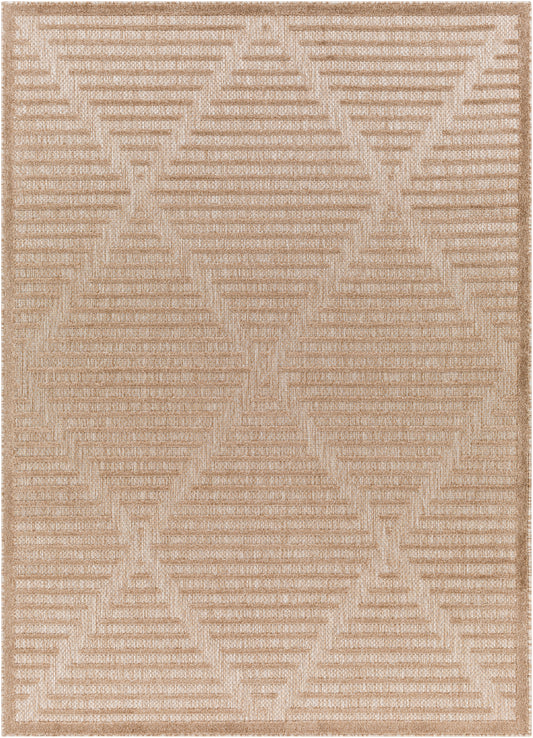 Surya San Diego Sfg-2318 Brown Area Rug