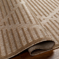 Surya San Diego Sfg-2318 Brown Area Rug