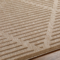 Surya San Diego Sfg-2318 Brown Area Rug