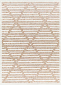 Surya San Diego Sfg-2319 Beige Area Rug