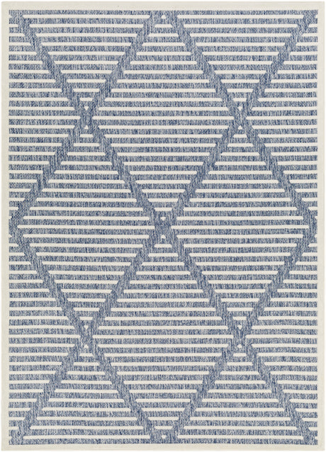 Surya San Diego Sfg-2320 Blue Rug.