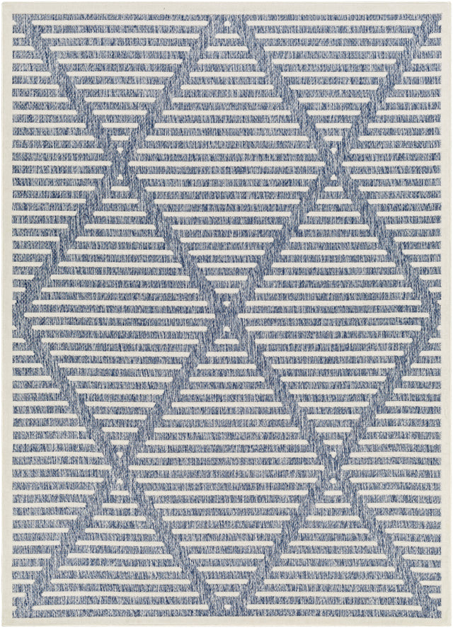 Surya San Diego Sfg-2320 Blue Rug.