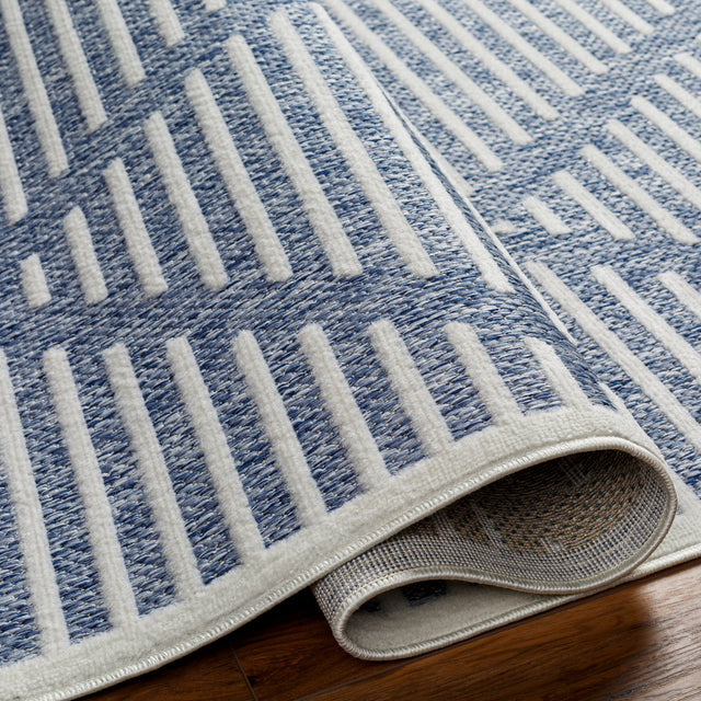 Surya San Diego Sfg-2320 Blue Rug.