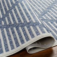 Surya San Diego Sfg-2320 Blue Area Rug