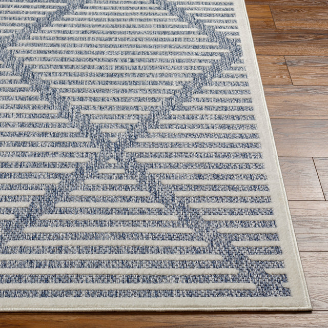 Surya San Diego Sfg-2320 Blue Rug.