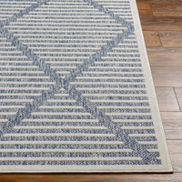 Surya San Diego Sfg-2320 Blue Area Rug