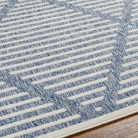 Surya San Diego Sfg-2320 Blue Area Rug