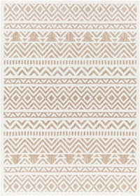 Surya San Diego Sfg-2322 Brown Area Rug