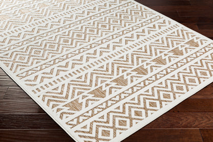 Surya San Diego Sfg-2322 Brown Area Rug